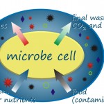 Microbe Cell Graphic